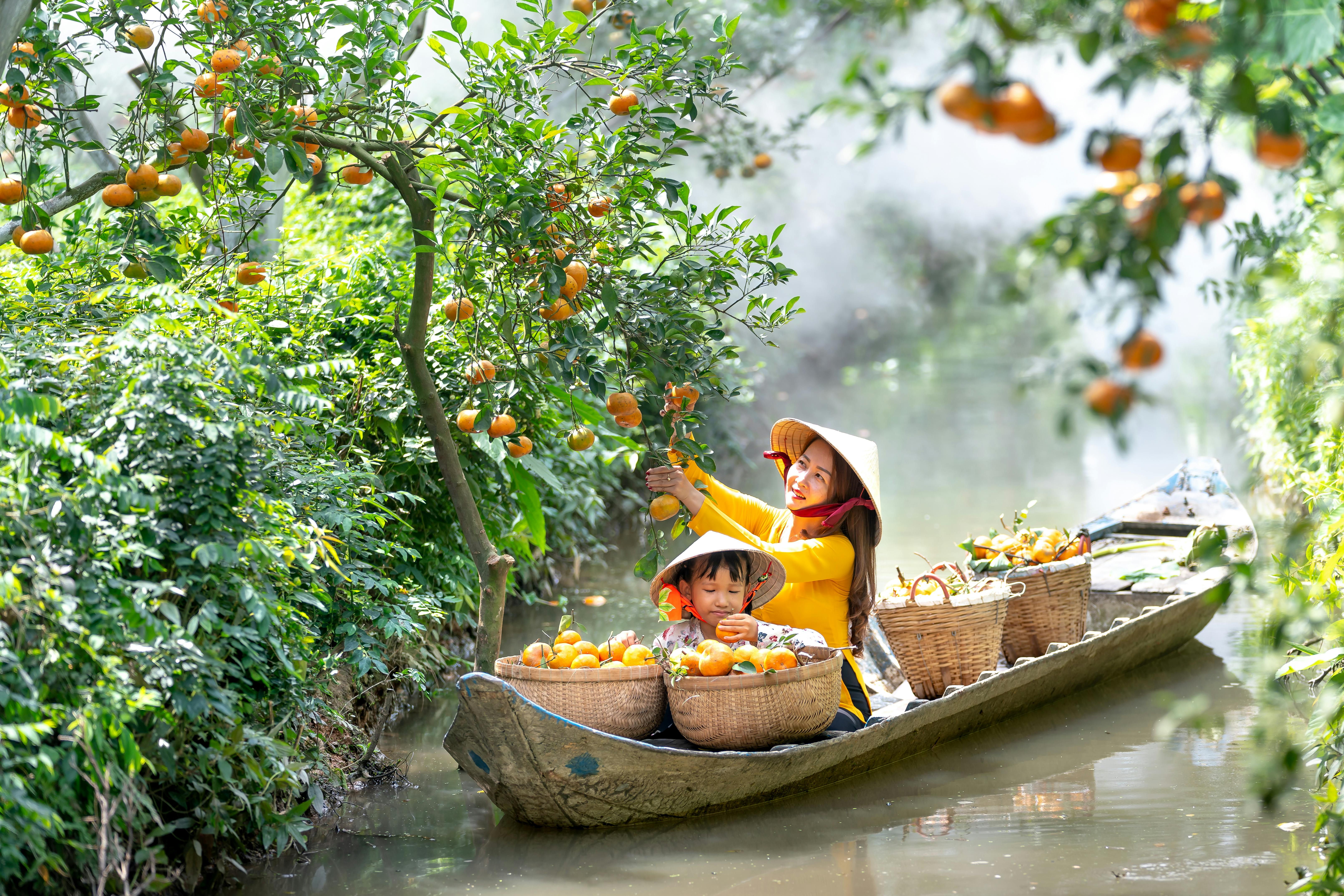 海岸與綠地的舒適休憩