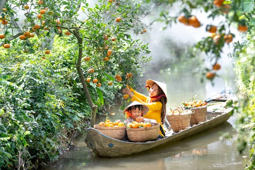 Бесплатное стоковое фото с азиатка, Азиатская девушка, апельсины