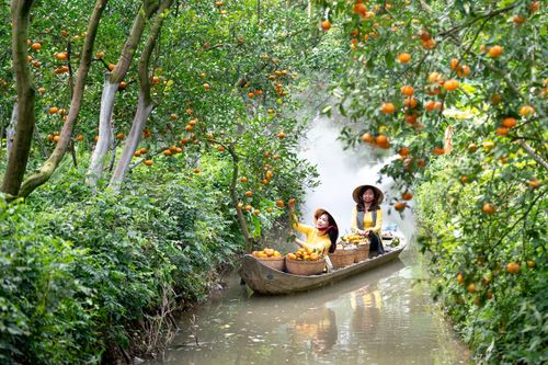 Free Two women on a boat harvesting oranges in a scenic orchard waterway. Stock Photo