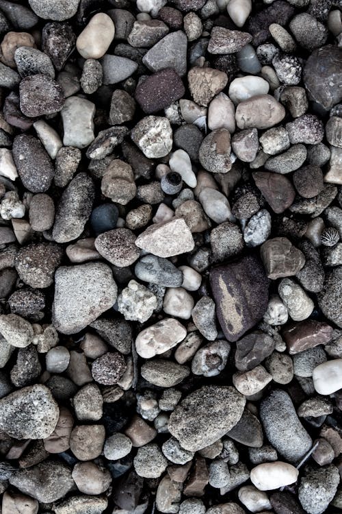 Photo of Different Shaped Pebbles