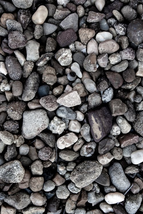 Foto profissional grátis de conhecimento, de cima, formas