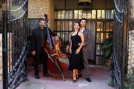 Man in Black Suit Standing Beside Woman in Black Sleeveless Dress Holding Musical Instrument