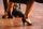 salsa dance