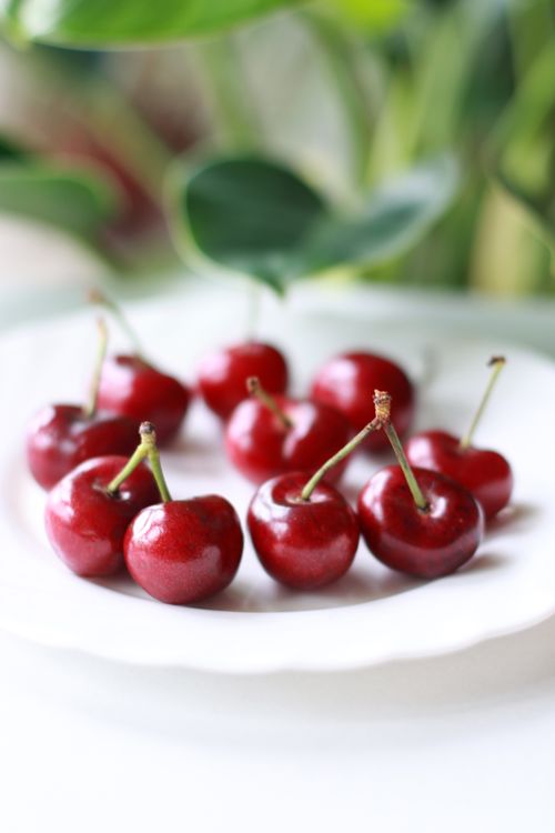Free A vibrant close-up of ripe cherries on a white plate, capturing their glossy freshness. Stock Photo