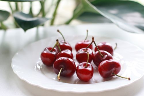 Free Close-up of fresh red cherries on a ceramic plate with blurred green leaves in the background. Stock Photo