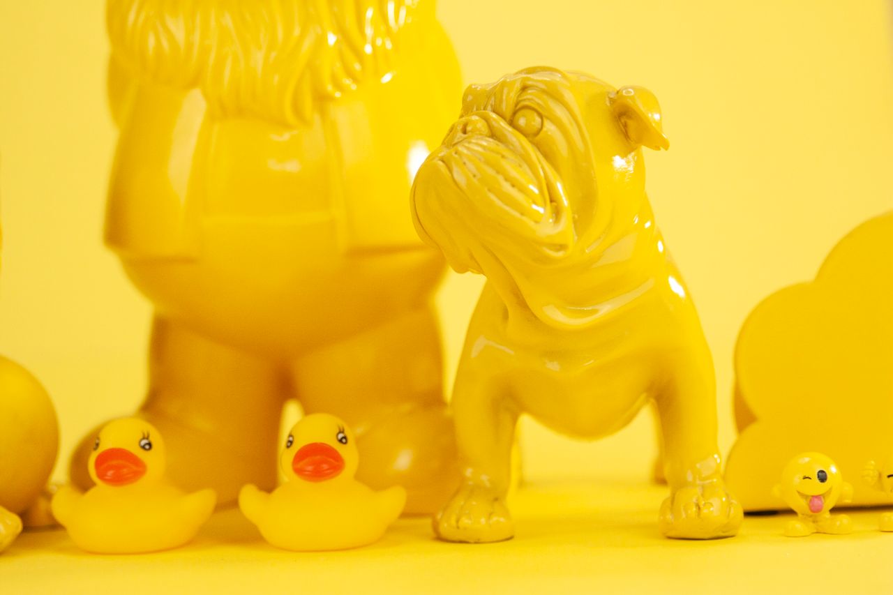 close up of yellow plastic toys including ducks and a bulldog on yello