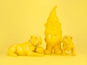 A Yellow Dwarf Between Bulldogs in Close-up Photography