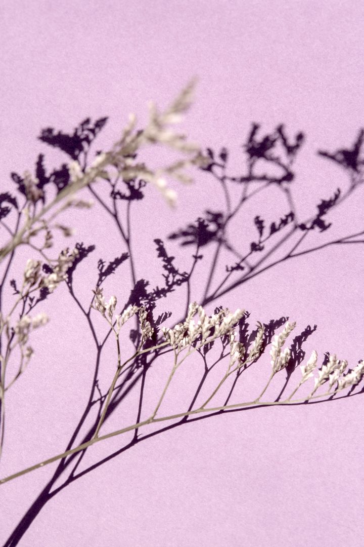 Dried statice stems on a lilac ground, photo by Karen La&aring;rk Boshoff on Pexels