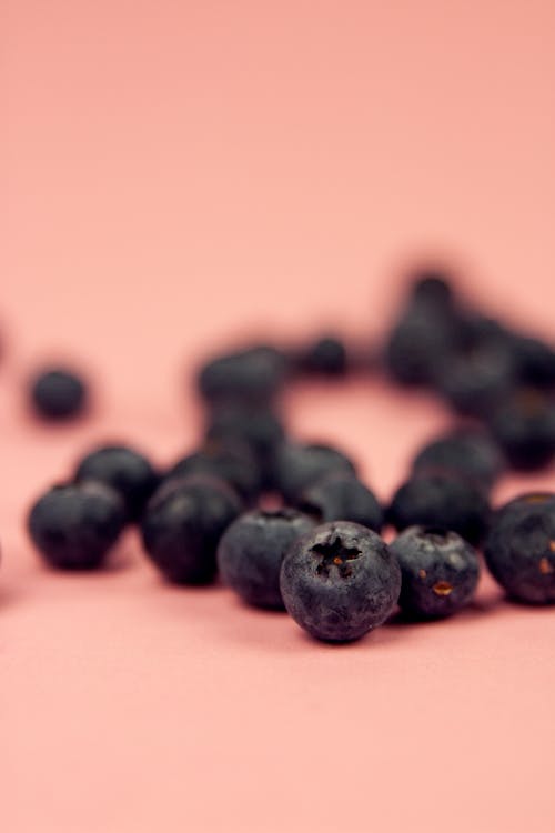 A Delicious Blueberry in Close-up Shot
