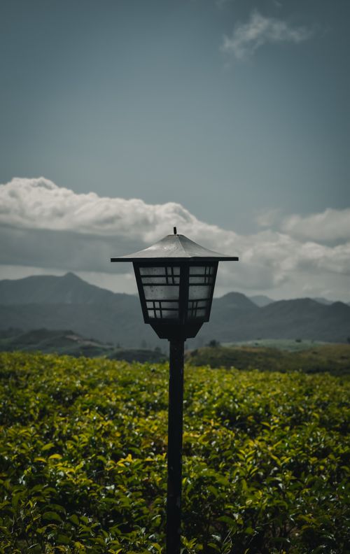 Free A tranquil scene featuring a lamp post amidst lush greenery and distant mountains. Stock Photo