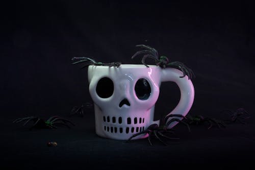 Fake Spiders on a Skull Mug