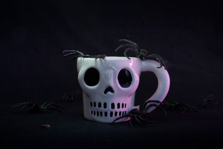 Fake Spiders On A Skull Mug