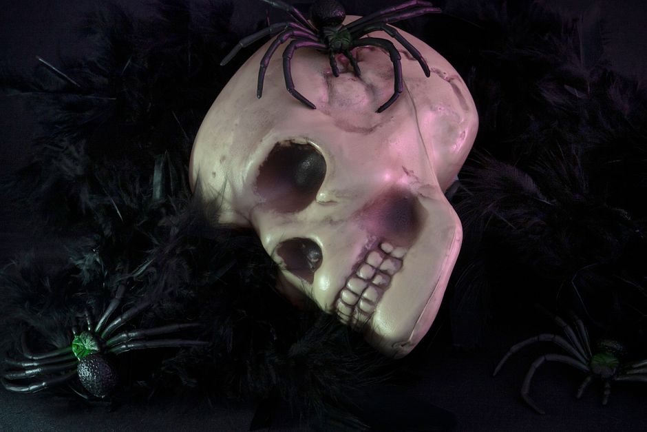 A spooky Halloween decoration featuring a skull surrounded by fake spiders and black feathers.