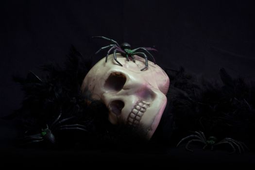Eerie skull surrounded by spiders, perfect for Halloween decorations and spooky celebrations.