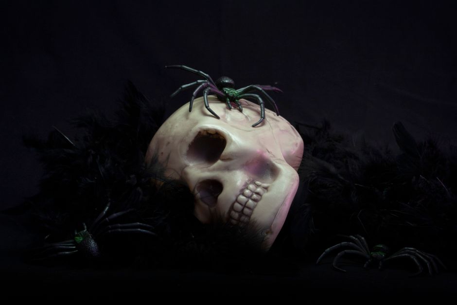 Eerie skull surrounded by spiders, perfect for Halloween decorations and spooky celebrations.