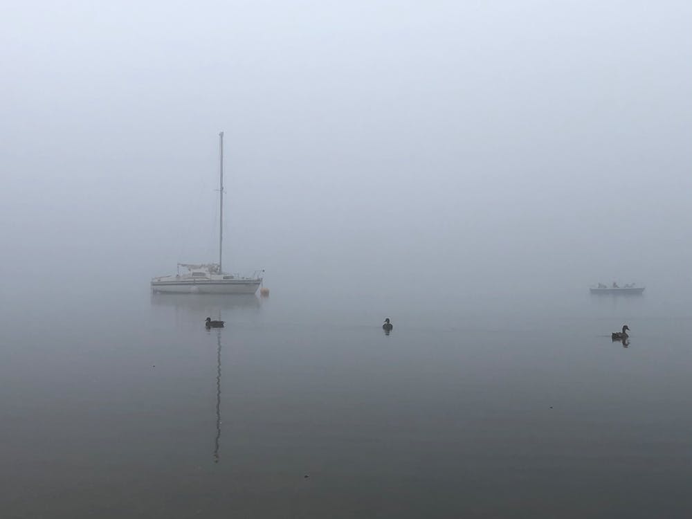 Free stock photo of boat, ducks, fog Stock Photo