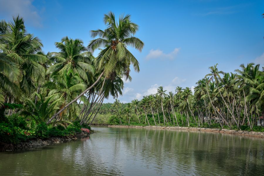 Headland and surf on the Kerala coast