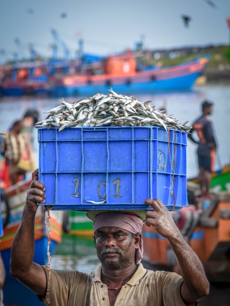A Man Carrying A Blue Plastic Container Full Of Dead Fish