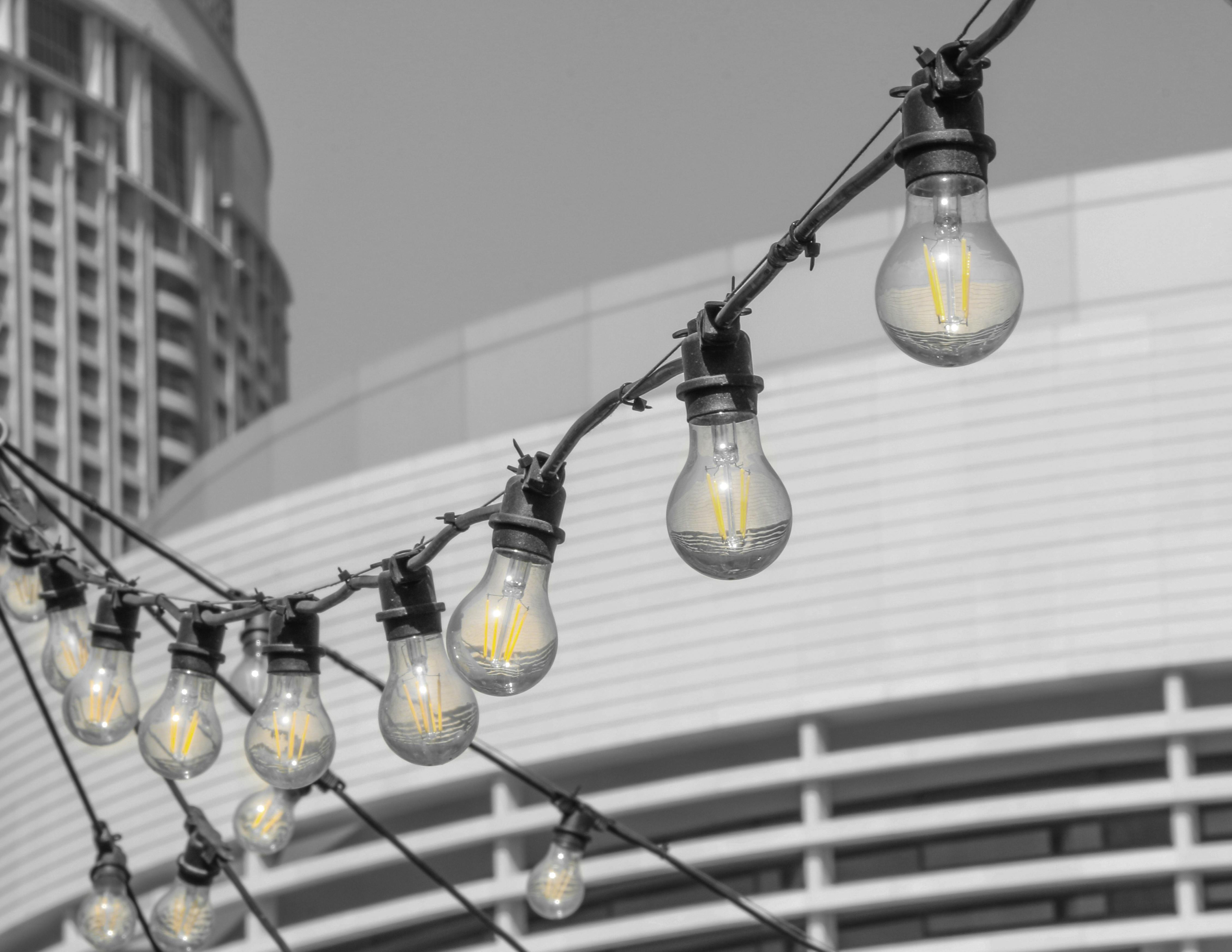 Free stock photo of bulb, bulbs, electric light