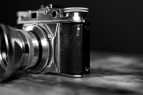 무료 카메라의 흑백 사진 스톡 사진