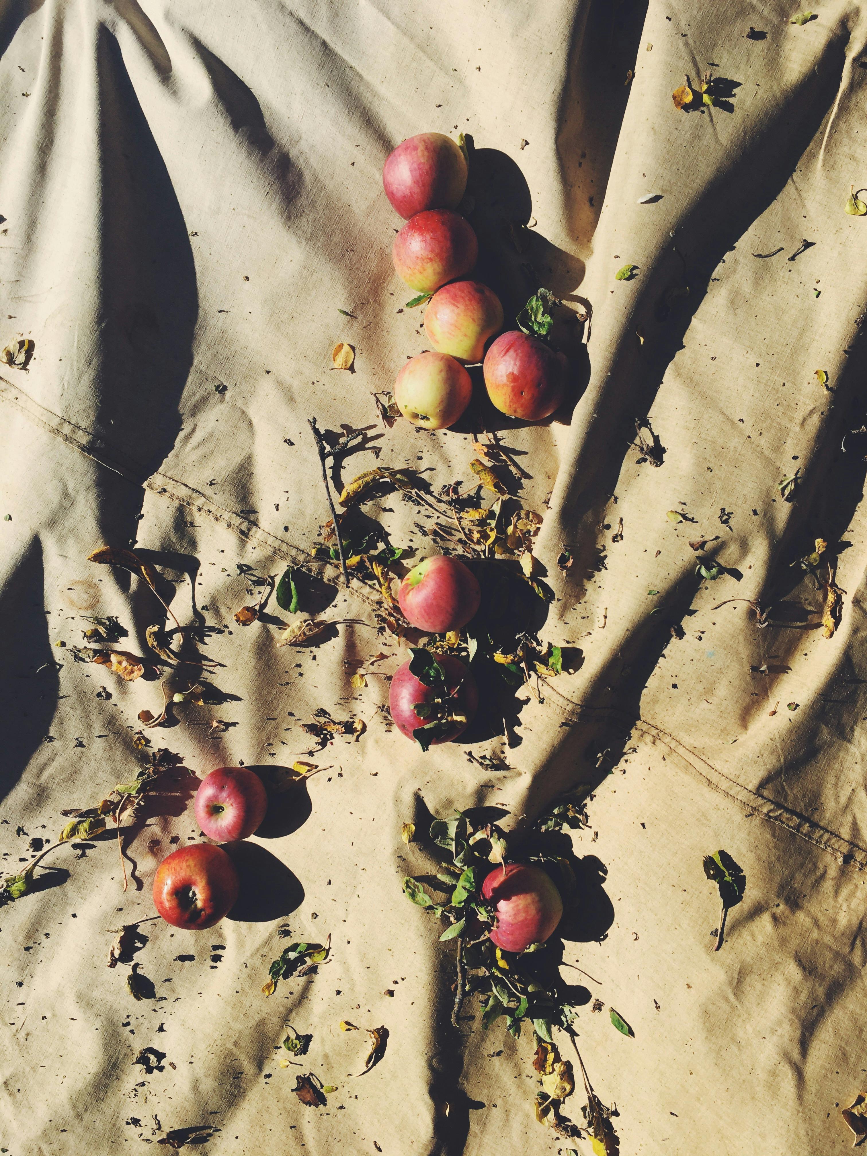 Overhead view of red apples on a canvas cloth, capturing a rustic, autumn feel.