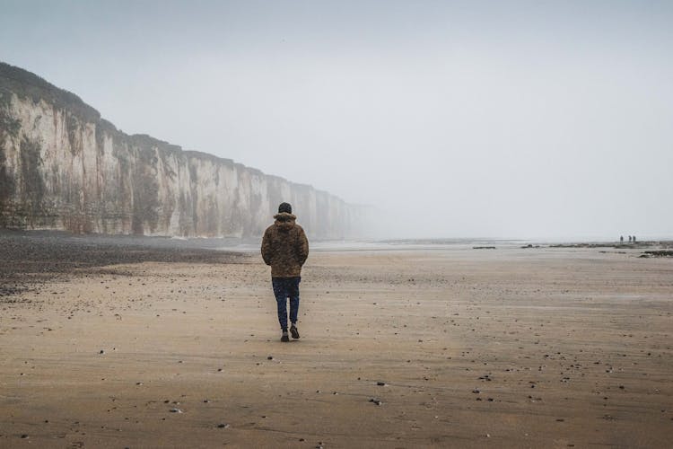 Back View Of A Person Walking Alone At The Beach