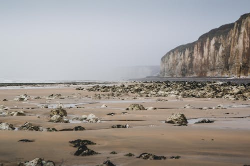 免费 岩石, 有霧, 海灘 的 免费素材图片 素材图片