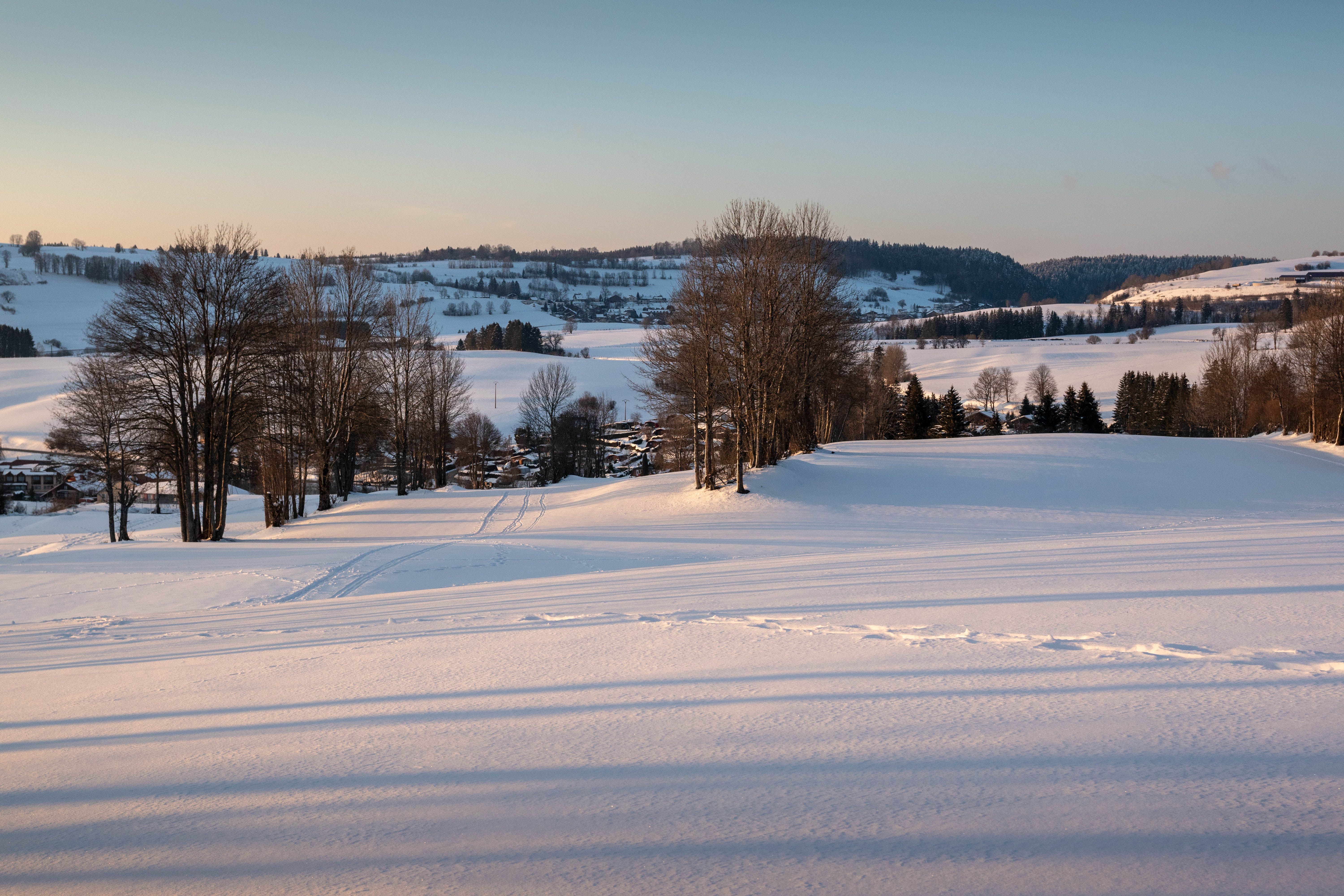 Winter landscape with low-angle sun casting long shadows on snow
