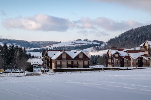 Foto profissional grátis de ao ar livre, área, inverno