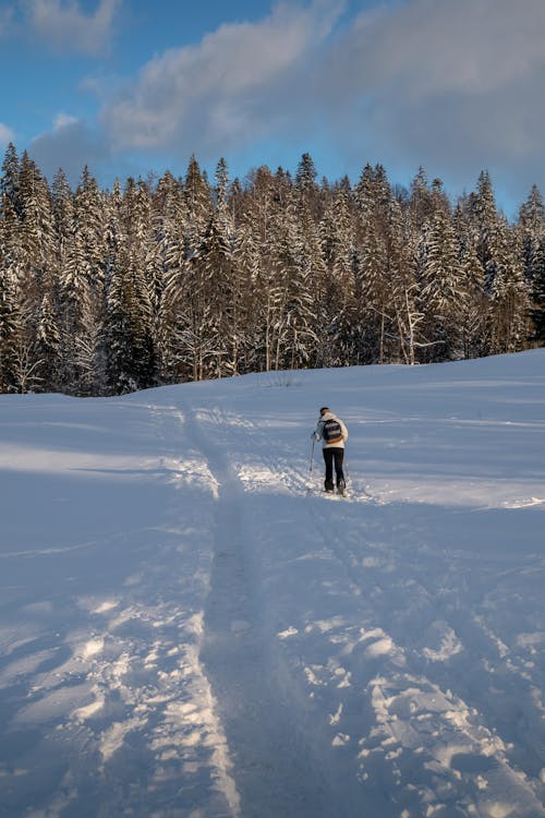 Back View of a Person Walking on Snow Covered Ground