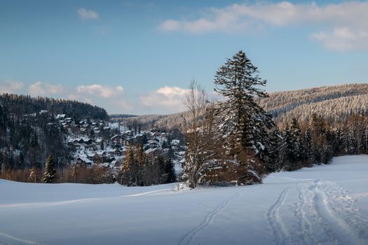 A picturesque snowy mountain village with pine trees under a clear winter sky.