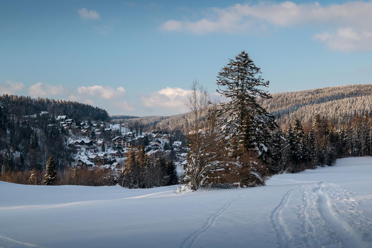 Mountain town neighborhood with pines and snow-dusted ridges in Tehachapi, California