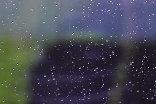 Free stock photo of drops of water, rain, raindrops