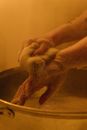 Person Holding Stainless Steel Bowl