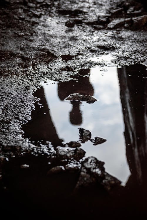 Photo of a Puddle in the Mud