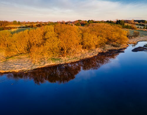 Aerial Photography of Trees Near the Lake During Autumn Season