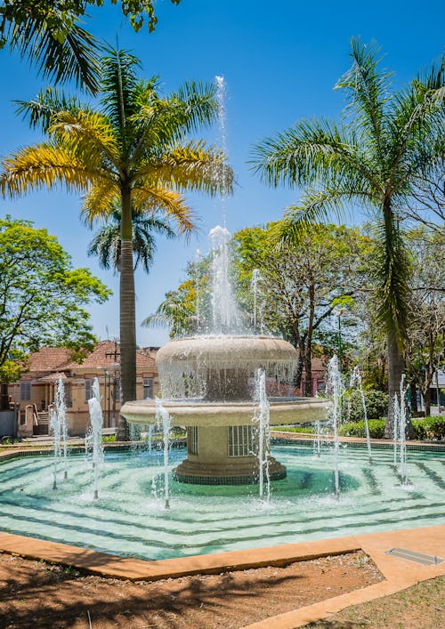 Fountain Among Palm Trees 