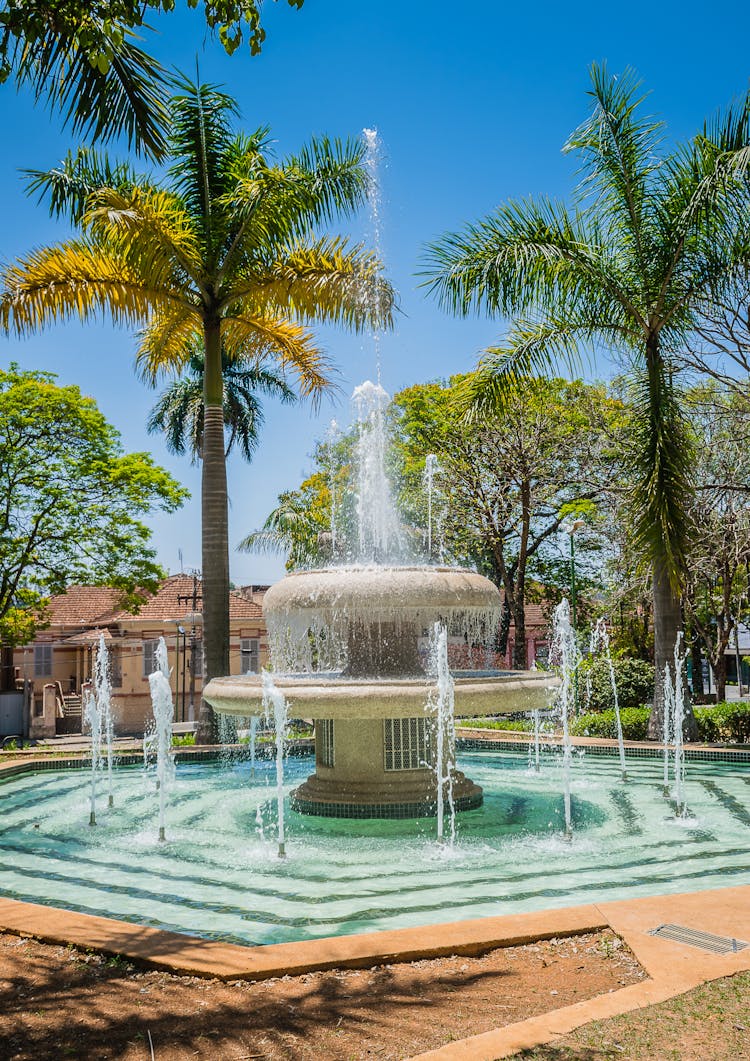 Fountain Among Palm Trees 