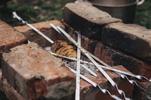 Free stock photo of picnic, skewers