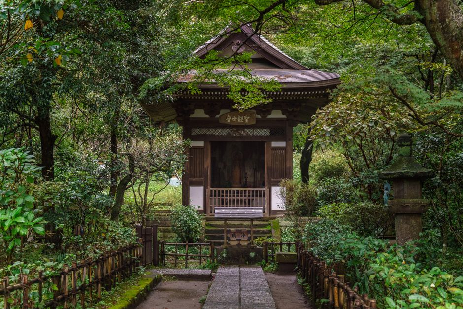 Explore the tranquil beauty of a Shinto shrine nestled in Kamakura's lush green foliage.