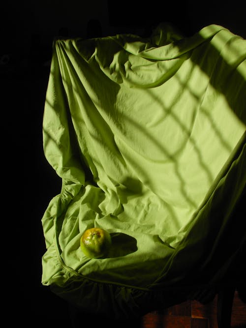 Close-Up Shot of a Green Textile