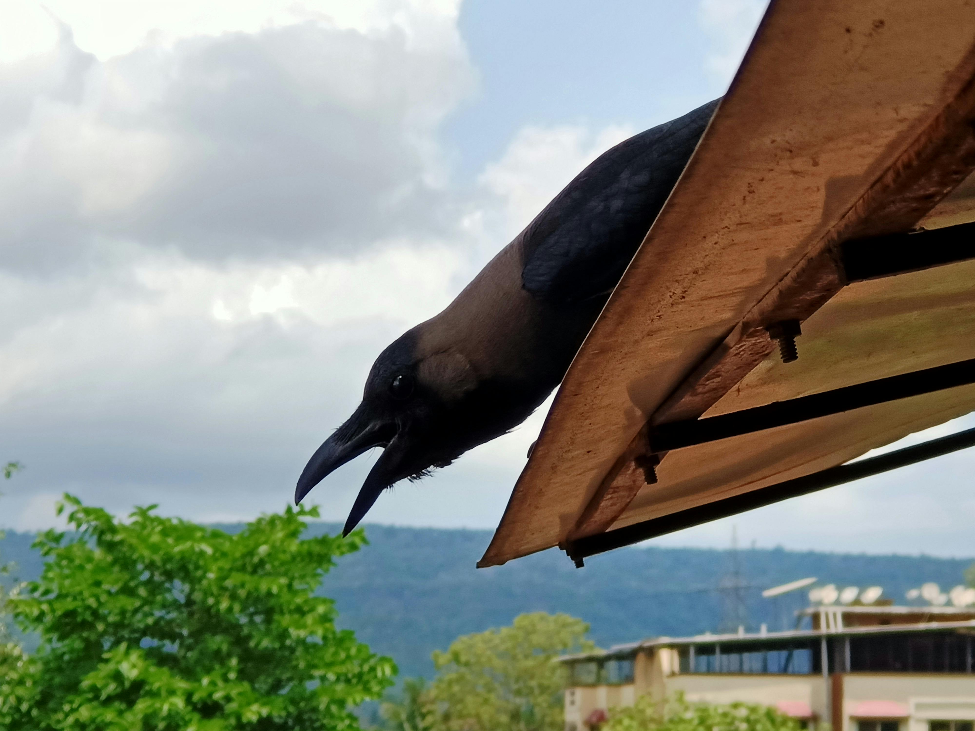 AI-powered smart security camera 2025 home safety