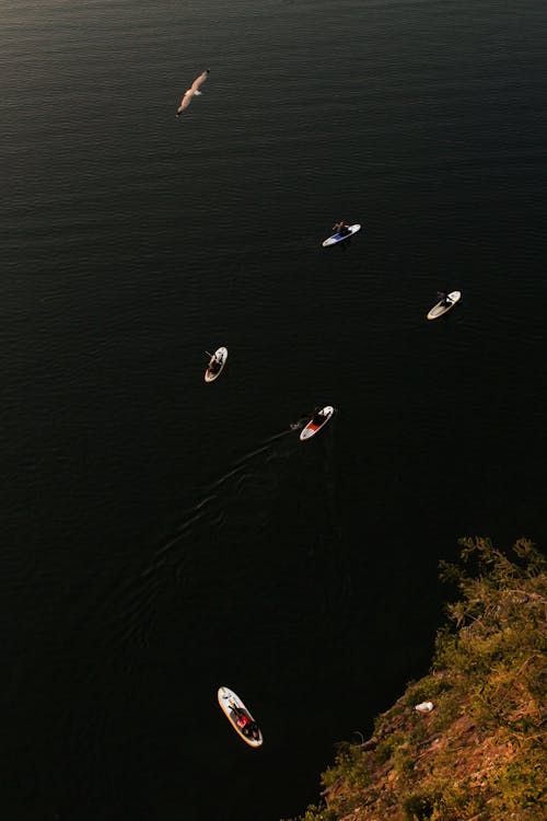 Aerial Photography of People Kayaking on a Body of Water