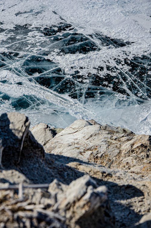 Kostnadsfri bild av frost, fryst, is