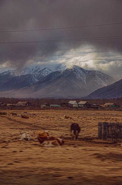 Kostenloses Stock Foto zu außerorts, berge, bewölkter himmel