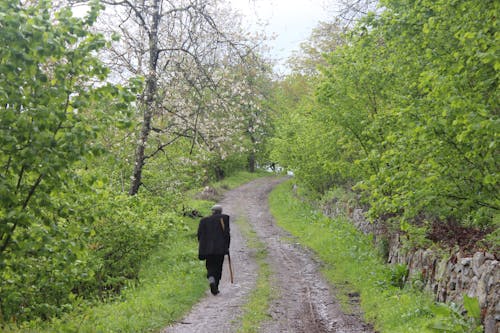 A Man Walking on the Dirt Road