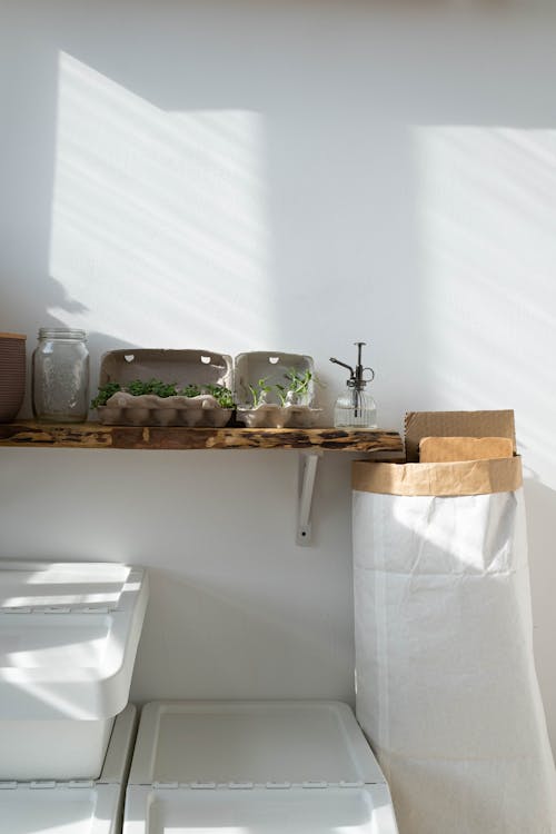 Green Plants on the Wooden Shelf