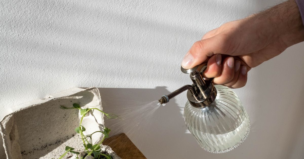Adubo para Plantas: Tipos, NPK e Como Adubar Certo Adubo para plantas: mão borrifando mudas jovens em uma prateleira de madeira