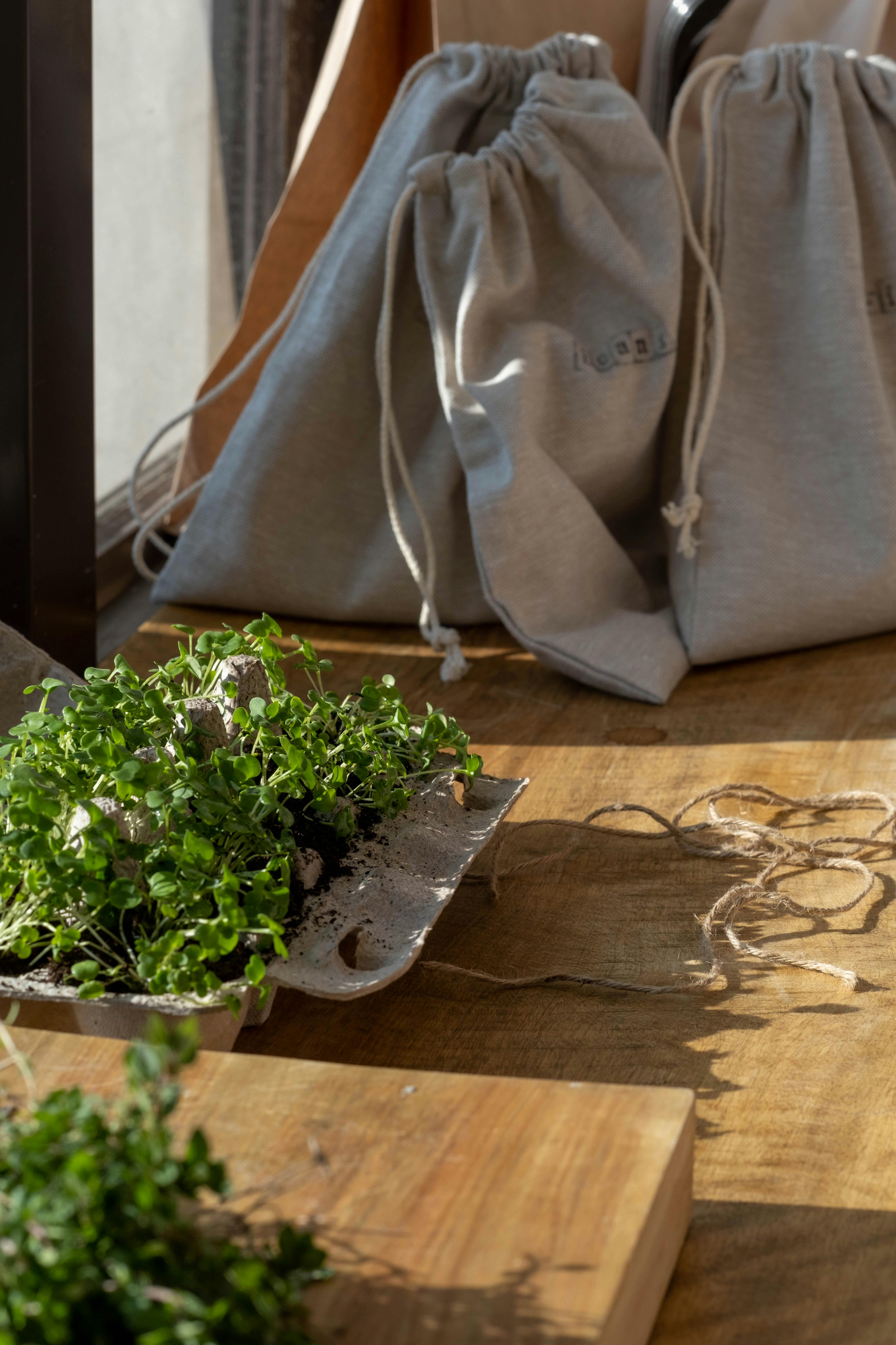 Indoor setting with fresh thyme and reusable bags on a wooden countertop, highlighting home gardening and sustainability.