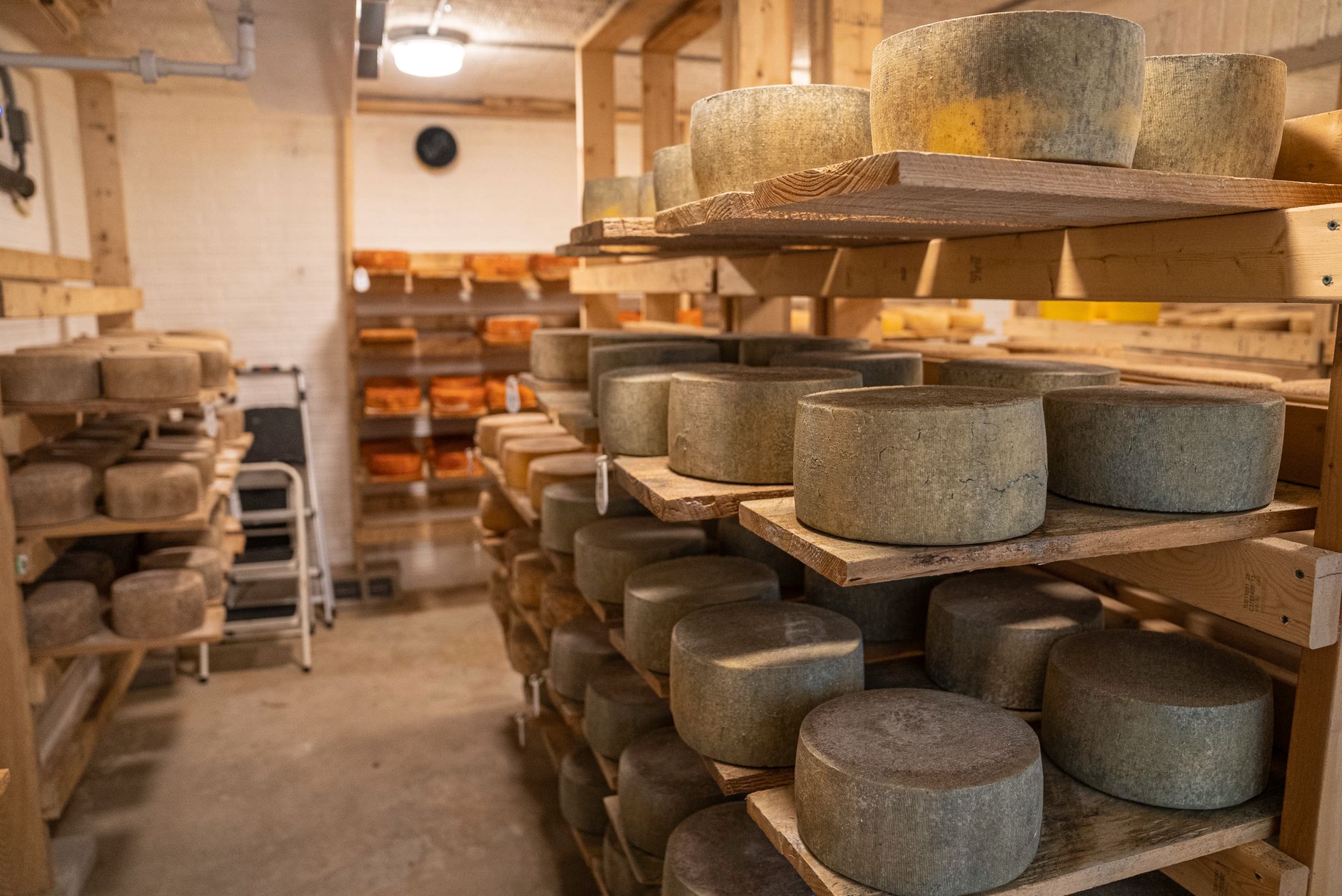 cheese photograph for this story